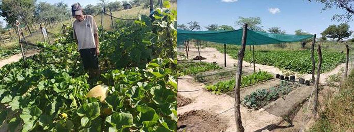 The gardening project has come to fruition in the Nyae Nyae Conservancy